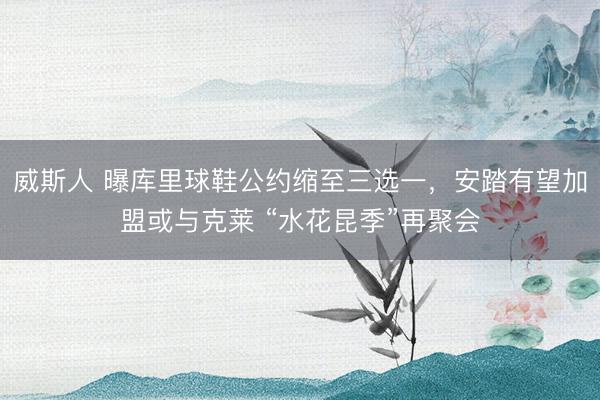 威斯人 曝库里球鞋公约缩至三选一，安踏有望加盟或与克莱 “水花昆季”再聚会