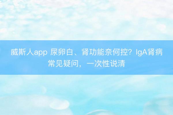 威斯人app 尿卵白、肾功能奈何控?IgA肾病常见疑问,一次性说清