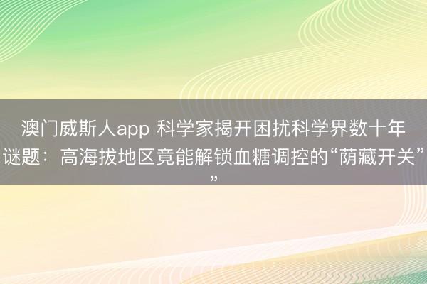 澳门威斯人app 科学家揭开困扰科学界数十年谜题：高海拔地区竟能解锁血糖调控的“荫藏开关”