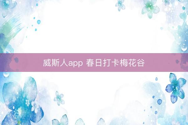 威斯人app 春日打卡梅花谷