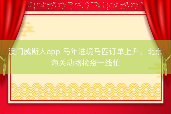 澳门威斯人app 马年进境马匹订单上升，北京海关动物检疫一线忙