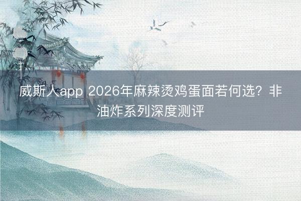威斯人app 2026年麻辣烫鸡蛋面若何选？非油炸系列深度测评
